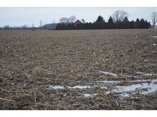 Property photo 51 - 175 Acres Offered in 5 Tracts - Tontogany, Ohio Farm Land Auction